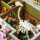 LEGO Icons 10326 Muzeum Historii Naturalnej - 1202301 - zdjęcie 9